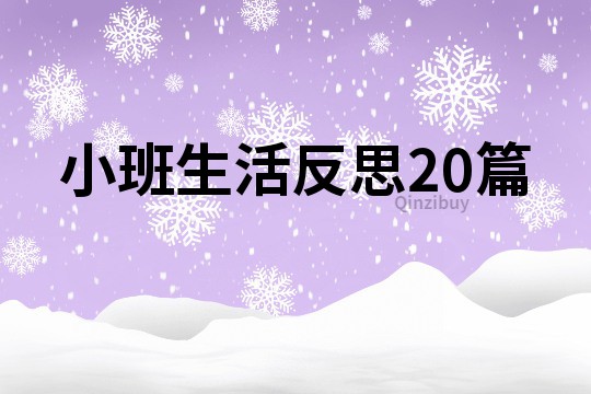 小班生活反思20篇