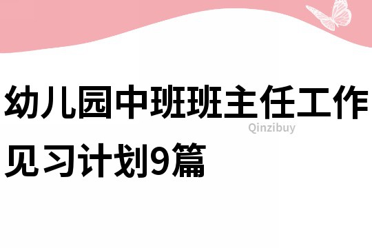 幼儿园中班班主任工作见习计划9篇