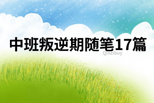 中班叛逆期随笔17篇