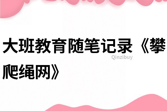 大班教育随笔记录《攀爬绳网》