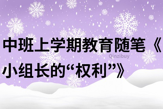 中班上学期教育随笔《小组长的“权利”》