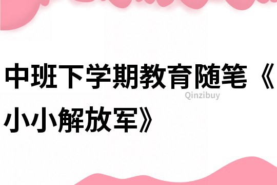 中班下学期教育随笔《小小解放军》