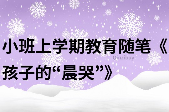 小班上学期教育随笔《孩子的“晨哭”》