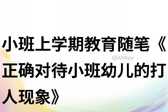 小班上学期教育随笔《正确对待小班幼儿的打人现象》