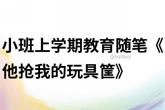 小班上学期教育随笔《他抢我的玩具筐》