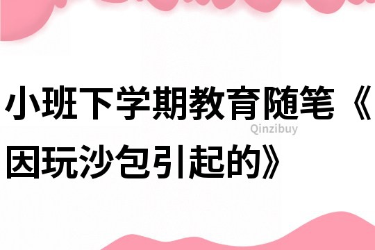 小班下学期教育随笔《因玩沙包引起的》