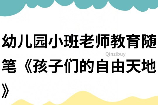 幼儿园小班老师教育随笔《孩子们的自由天地》