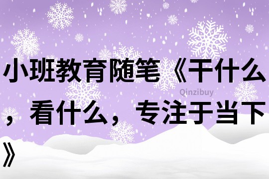 小班教育随笔《干什么，看什么，专注于当下》