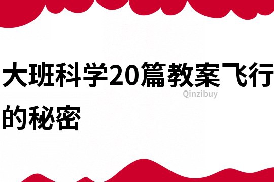 大班科学20篇教案飞行的秘密