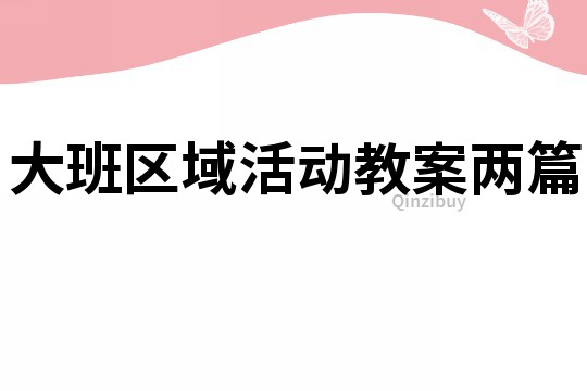 大班区域活动教案两篇