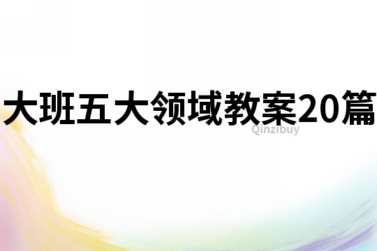 大班五大领域教案20篇