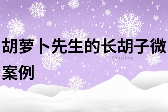 胡萝卜先生的长胡子微案例