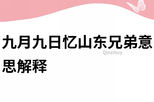 九月九日忆山东兄弟意思解释