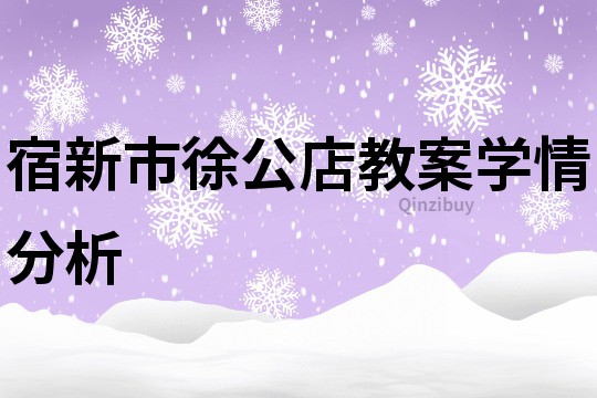 宿新市徐公店教案学情分析