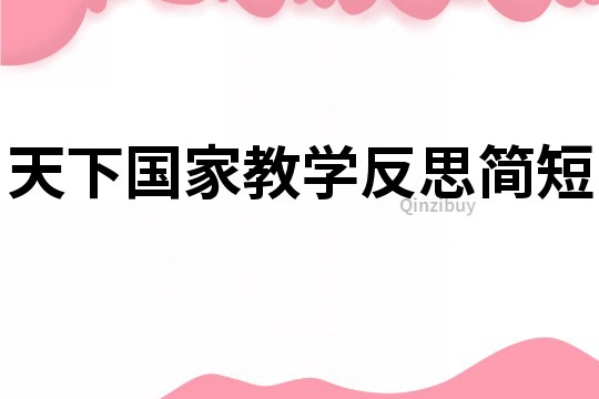 天下国家教学反思简短