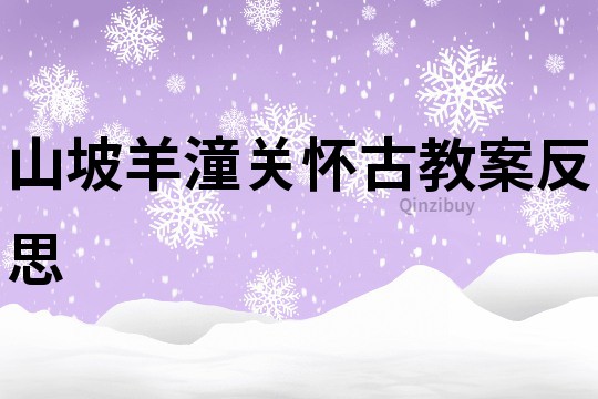 山坡羊潼关怀古教案反思