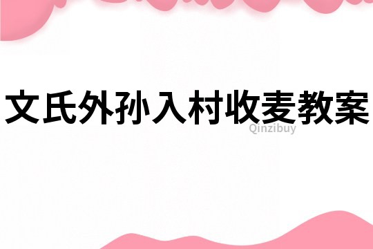 文氏外孙入村收麦教案