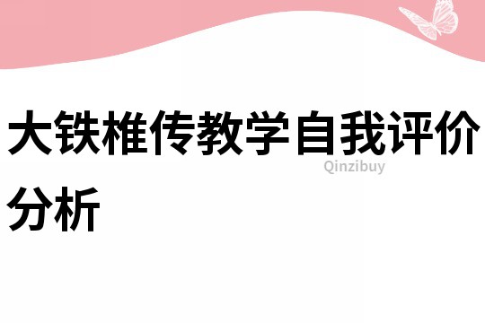 大铁椎传教学自我评价分析