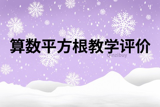 算数平方根教学评价