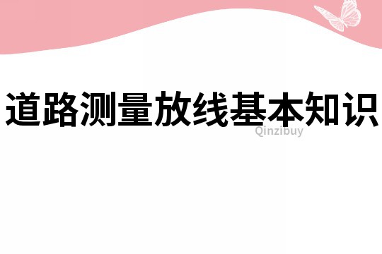 道路测量放线基本知识