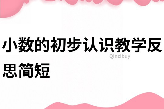 小数的初步认识教学反思简短