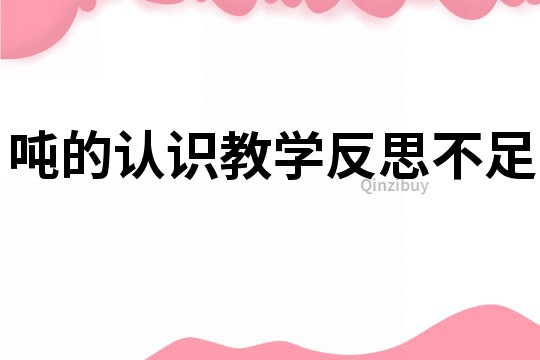 吨的认识教学反思不足