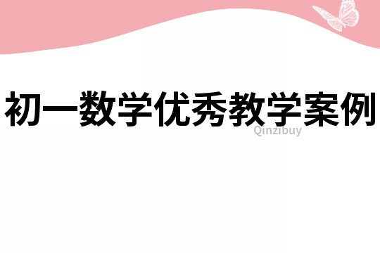 初一数学优秀教学案例