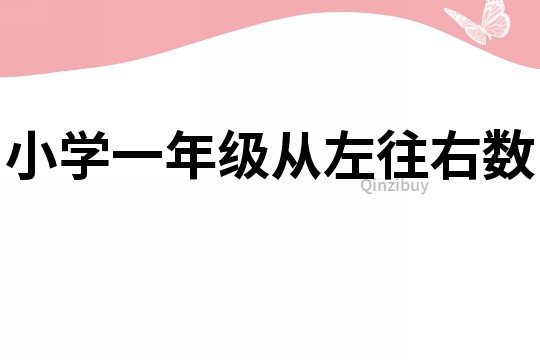 小学一年级从左往右数