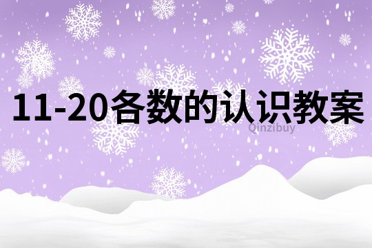 11-20各数的认识教案