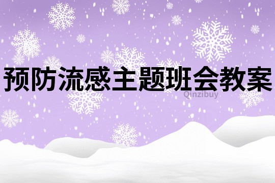 预防流感主题班会教案