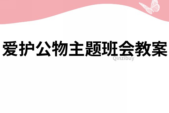 爱护公物主题班会教案