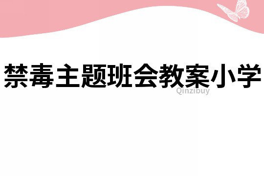 禁毒主题班会教案小学