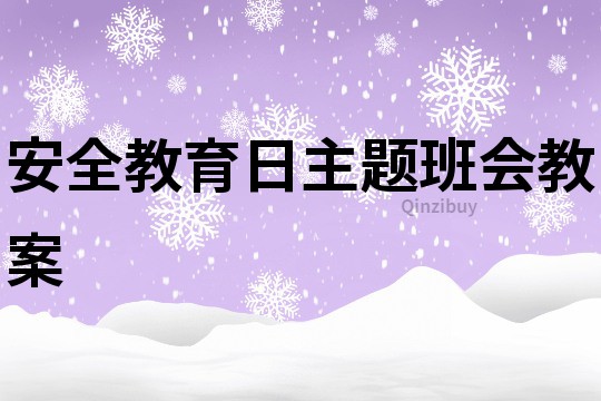 安全教育日主题班会教案