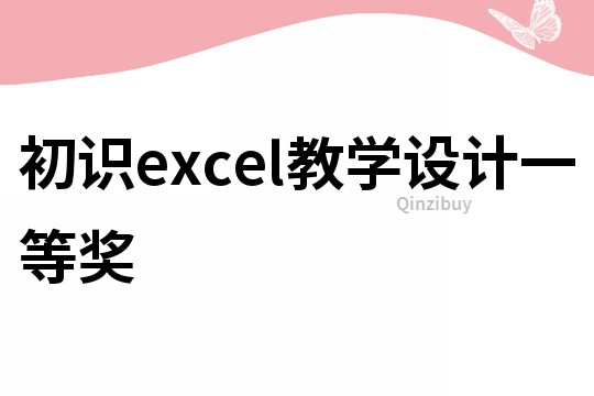 初识excel教学设计一等奖