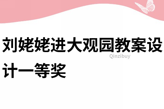 刘姥姥进大观园教案设计一等奖