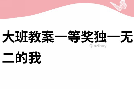 大班教案一等奖独一无二的我