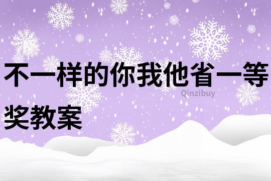 不一样的你我他省一等奖教案