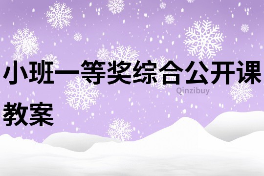 小班一等奖综合公开课教案