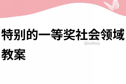 特别的一等奖社会领域教案