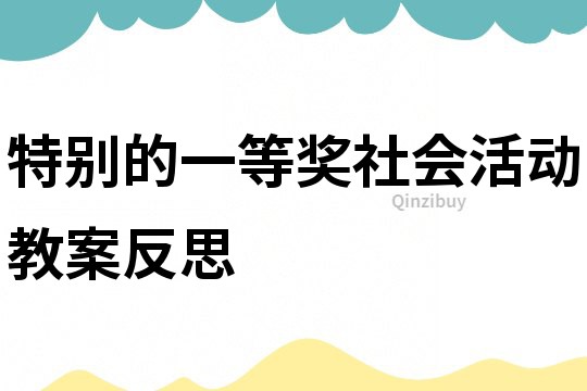 特别的一等奖社会活动教案反思