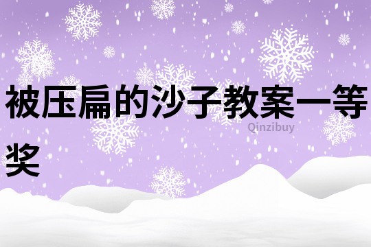 被压扁的沙子教案一等奖