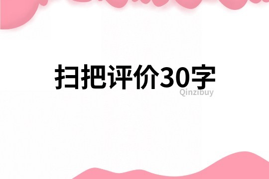 扫把评价30字