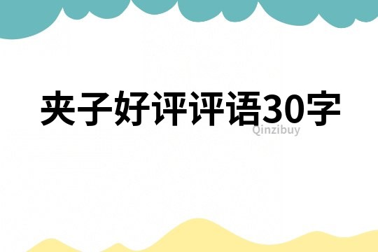 夹子好评评语30字