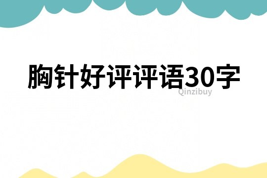 胸针好评评语30字