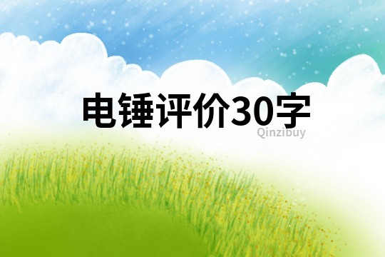 电锤评价30字