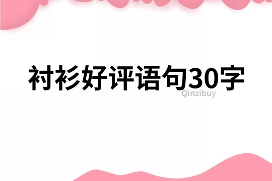 衬衫好评语句30字