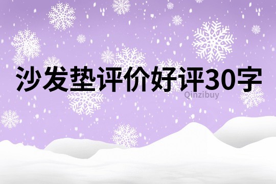 沙发垫评价好评30字