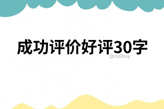 成功评价好评30字