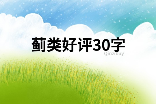 蓟类好评30字