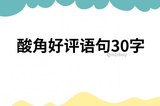 酸角好评语句30字